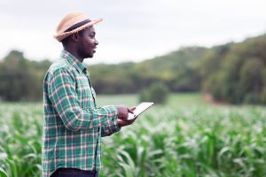 Farmer standing in green farm holding tablet pc